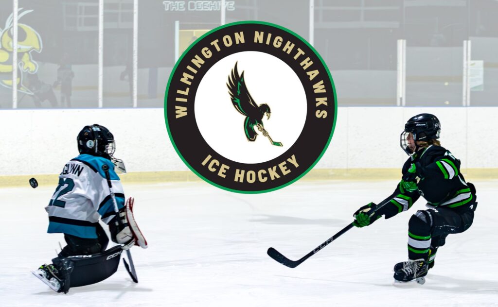 Wilmington Nighthawks Logo and Youth Hockey Picture